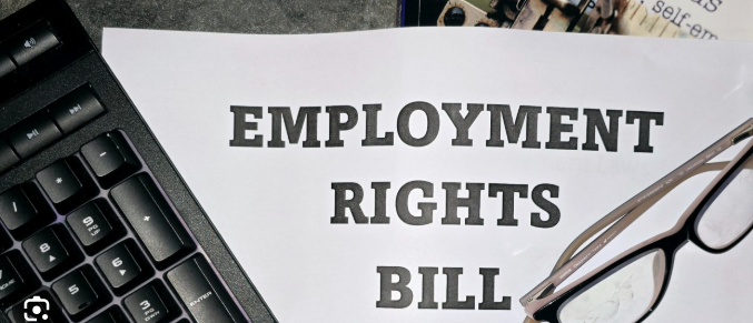 Employment Rights Bill Assistant